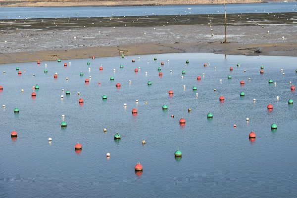 Морские буйки