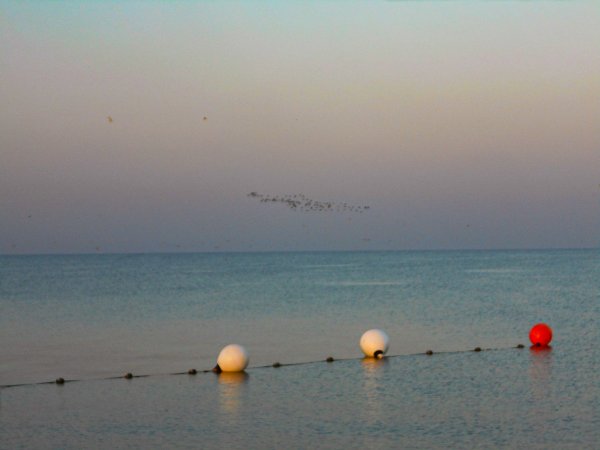 Морские буйки