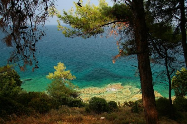 Пляж Сосновая роща Дивноморское