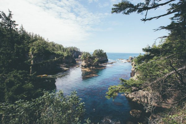 Природа море лес