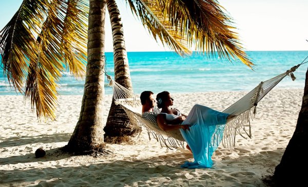 Гамак под пальмой