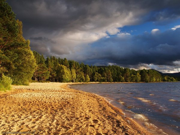 «Песчаный берег моря»сёра