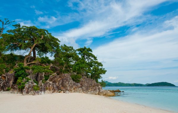 Берег с деревьями