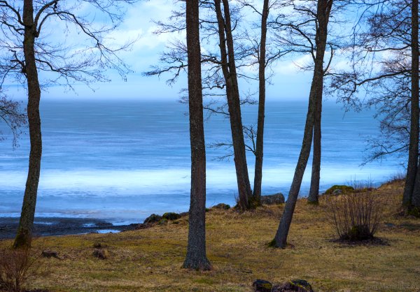 Монтерей Калифорния природа