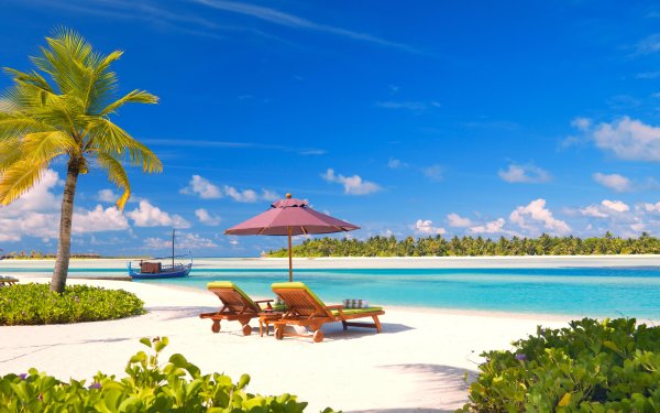 Под пальмой