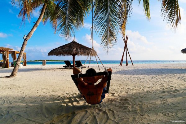 Пальмы курорты море