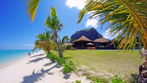 Девушка среди пальм