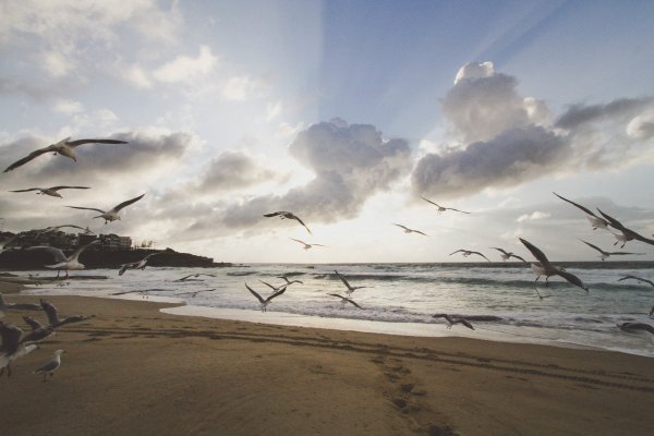 Ветер на пляже