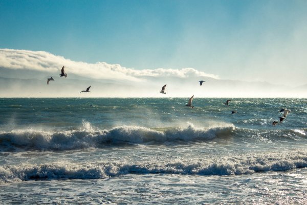 Свежий морской ветер