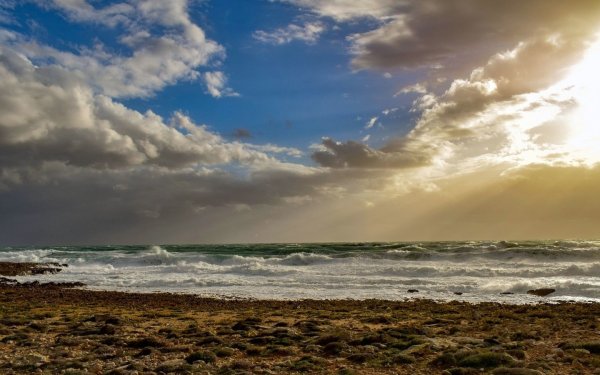 Ветер на берегу моря