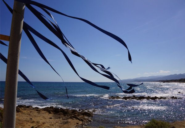 Морской ветерок