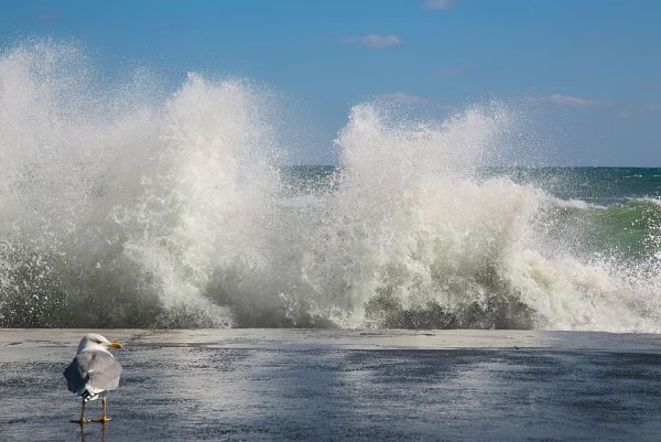 Ветер на море