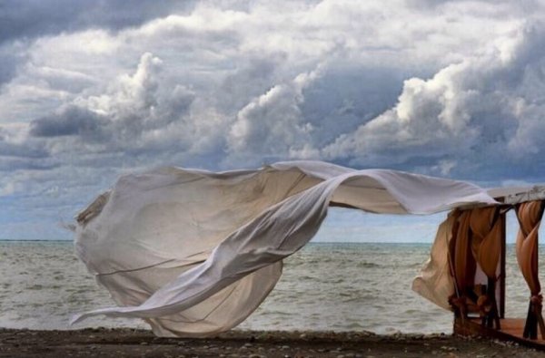 Ткань на ветру