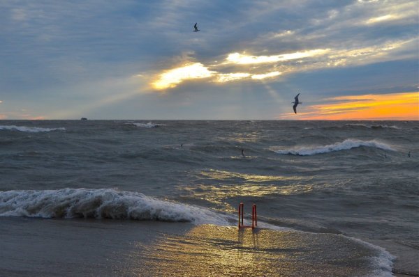 Ветер на море