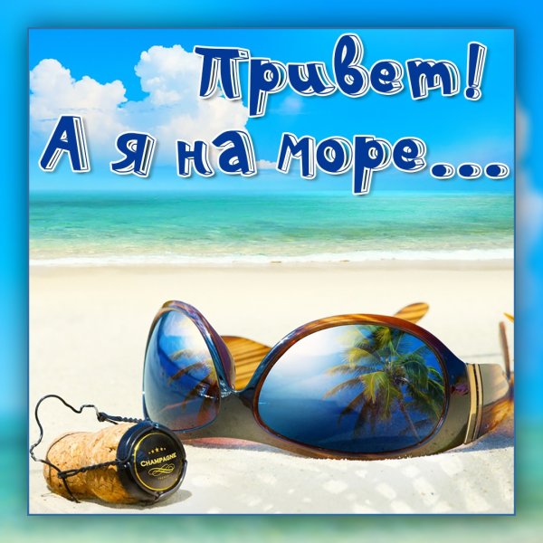 Прикольные цитптыпро море