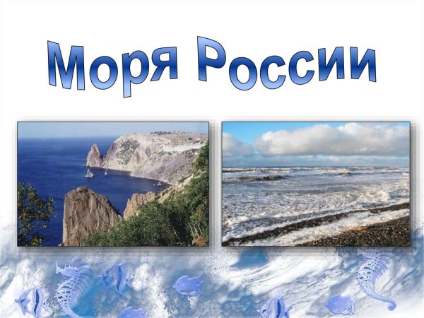 Моря омывающие Россию