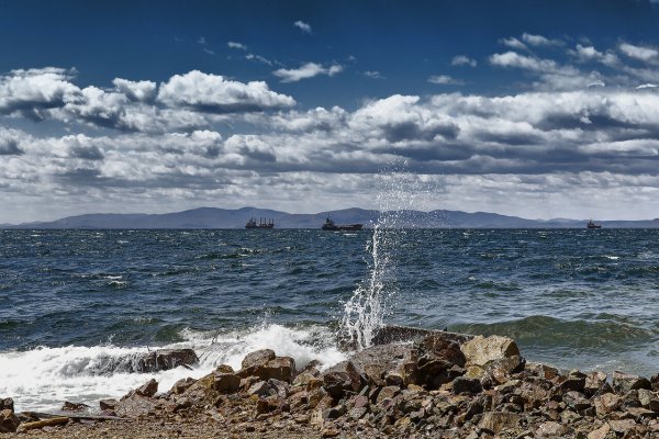 Моря омывающие территорию России