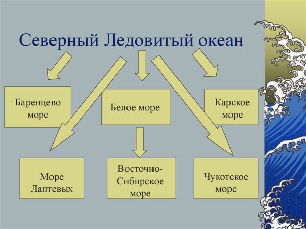 Моря Тихого океана