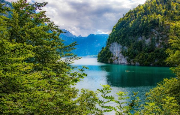 Горы лес море
