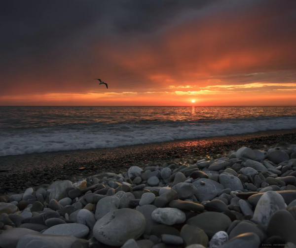 Берег черного моря Лазаревское