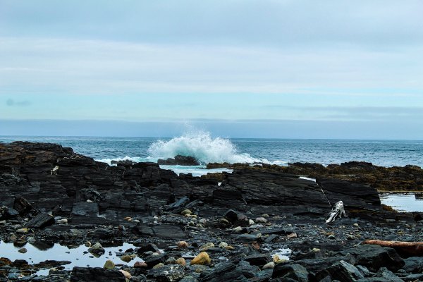Полуостров Святой нос Гремиха в Баренцево море