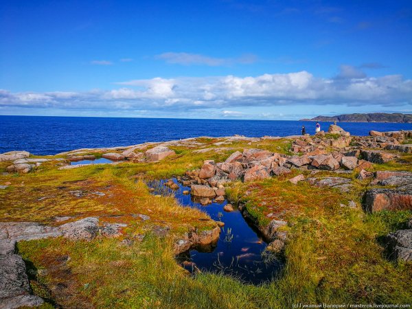 Берег Баренцева моря Териберка
