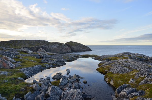 Гольфстрим Баренцево море
