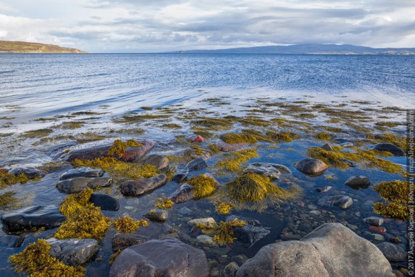 Баренцево море Териберка