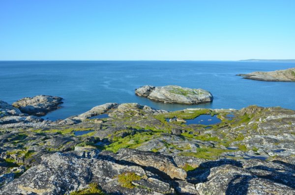 Териберка Баренцево море летом