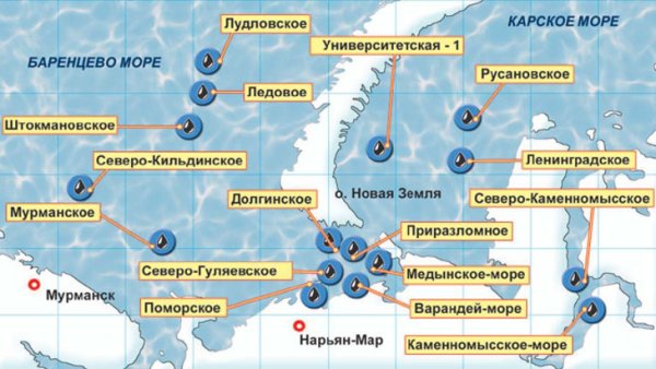 Дайвинг в Баренцевом море