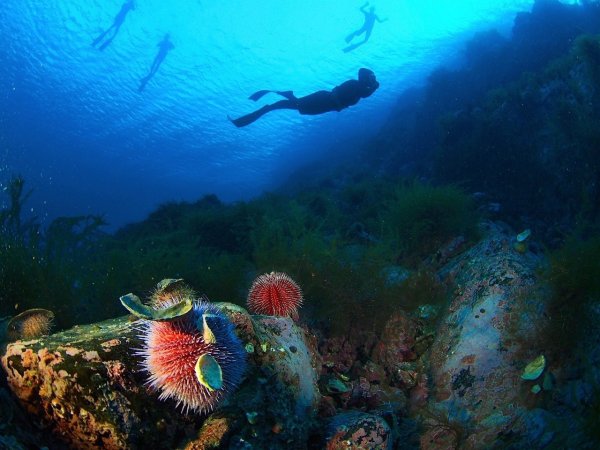 Южный берег Карского моря карта