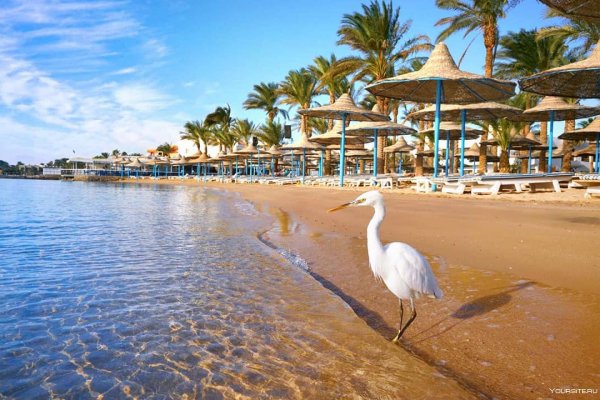 Tamra Beach Resort 4*