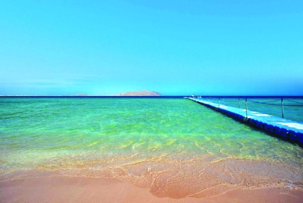 Фараана риф Египет