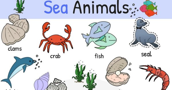 С днем рождения море