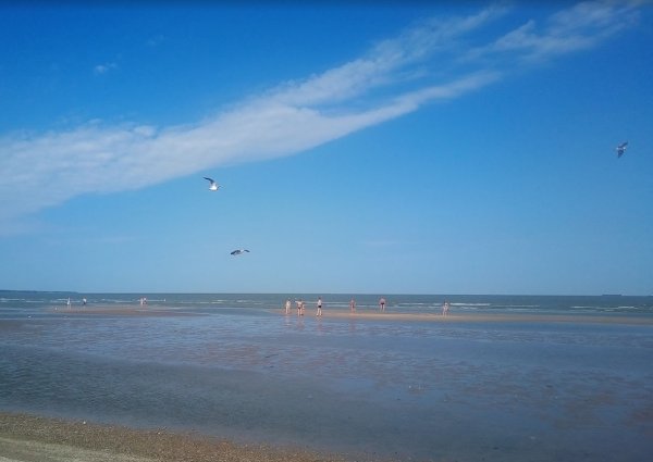 Азовское море Ейский Центральный пляж