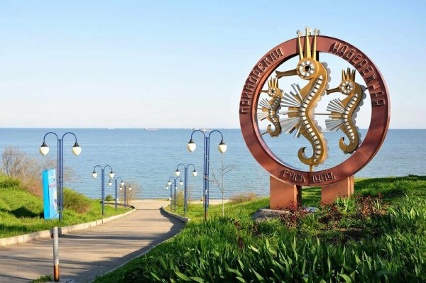 Морской конек Ейск