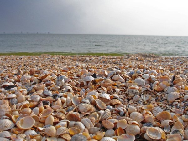 Должанская коса Азовское море