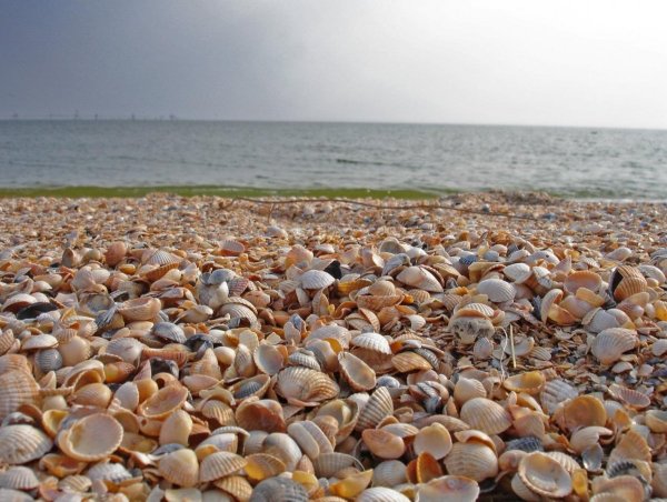 Азовское море называлось