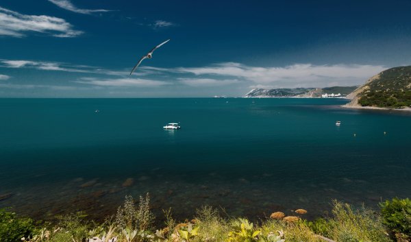 Утриш черное море