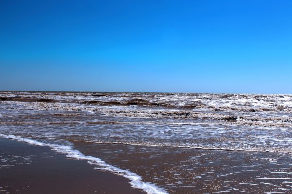 Азовское море соленое