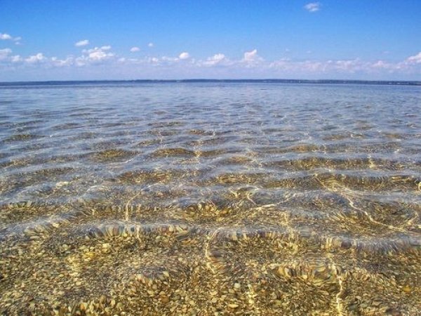 Солнце море Чайки пляж