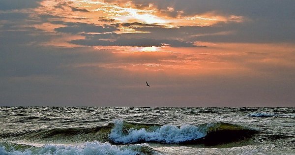 Ейск море