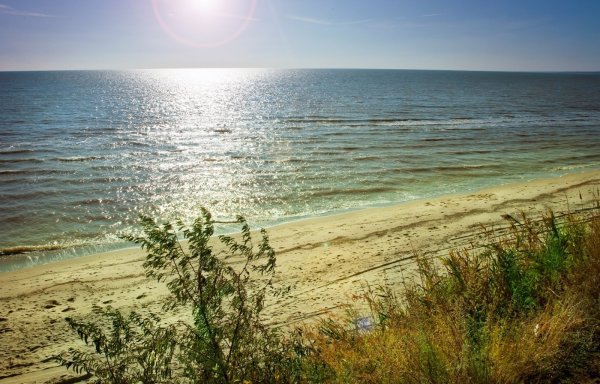 Берег Азовского моря Украины