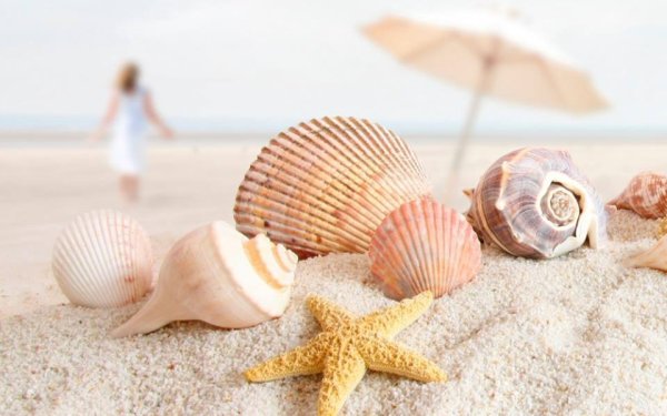 Мечты о море