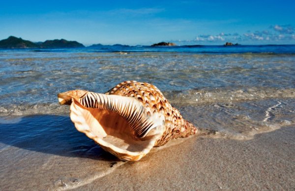 Керамическая плитка Holiday Cersanit