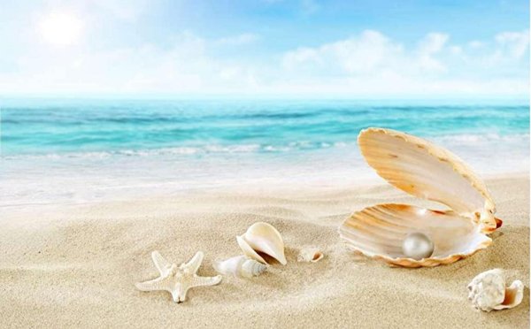 Морская раковина под водой