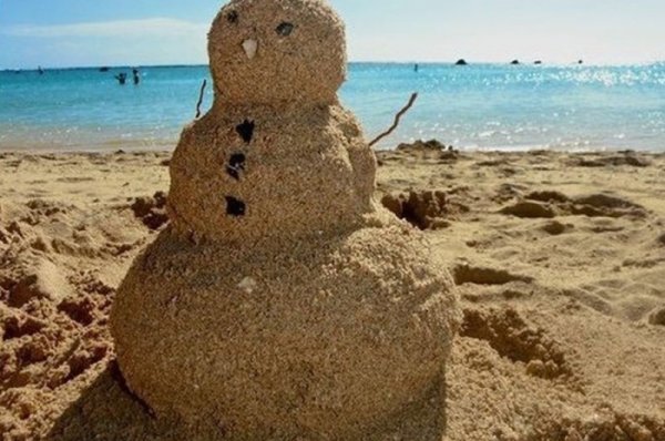 Инга Измайлова таксы