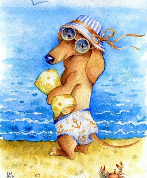 Ноги на гальке пляж