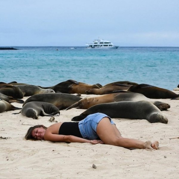 Стефано Фурлани