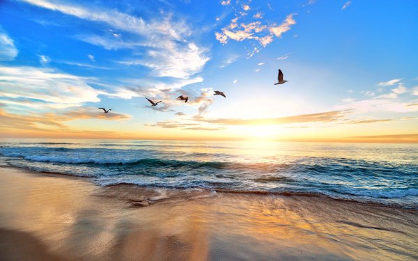 Телевизор STARWIND SW-led32bb202